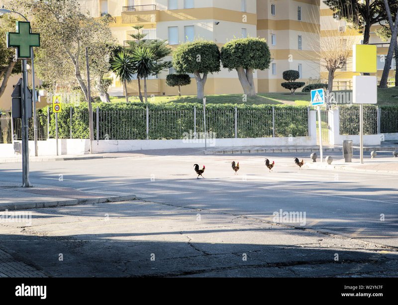 Spain - chicken road casino